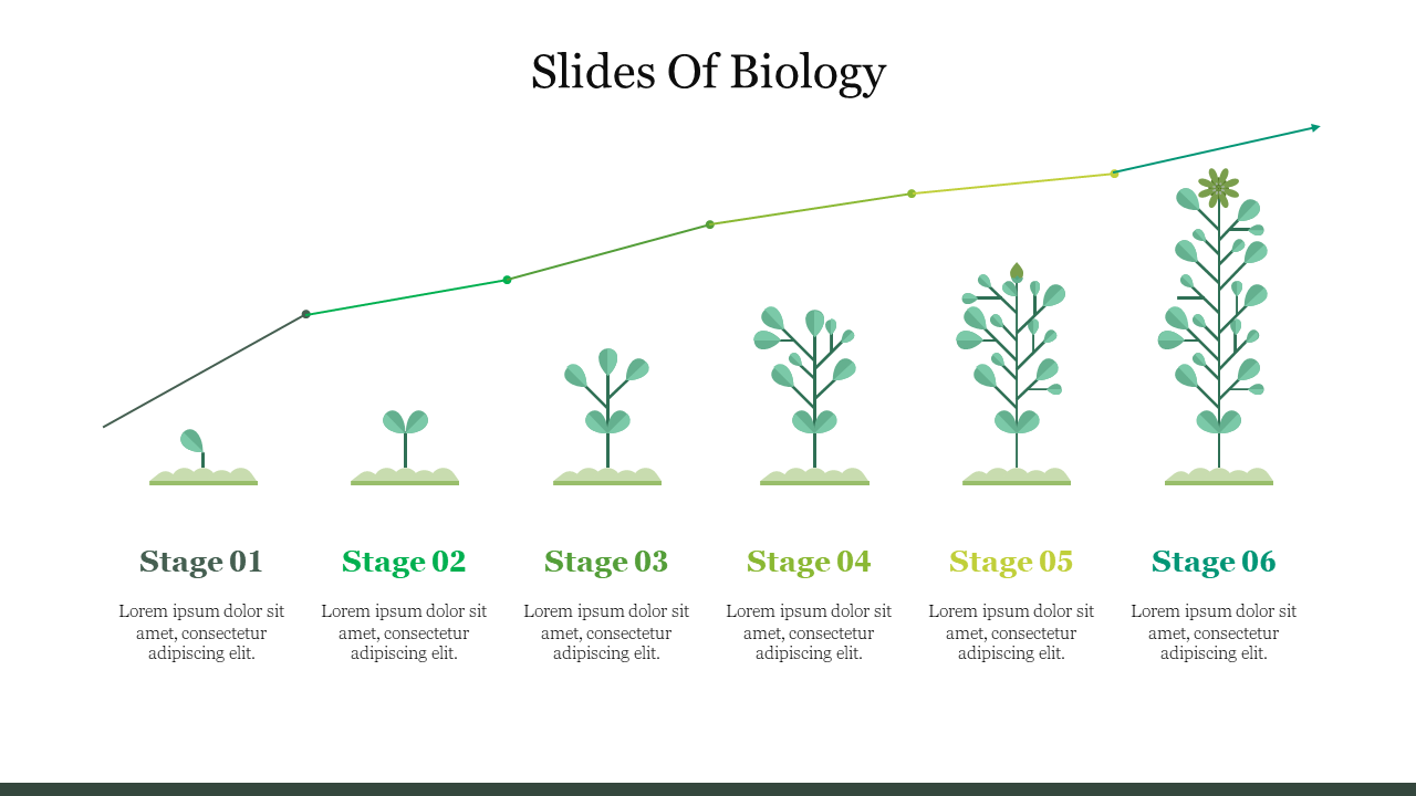 Best Slides Of Biology PowerPoint Presentation Template